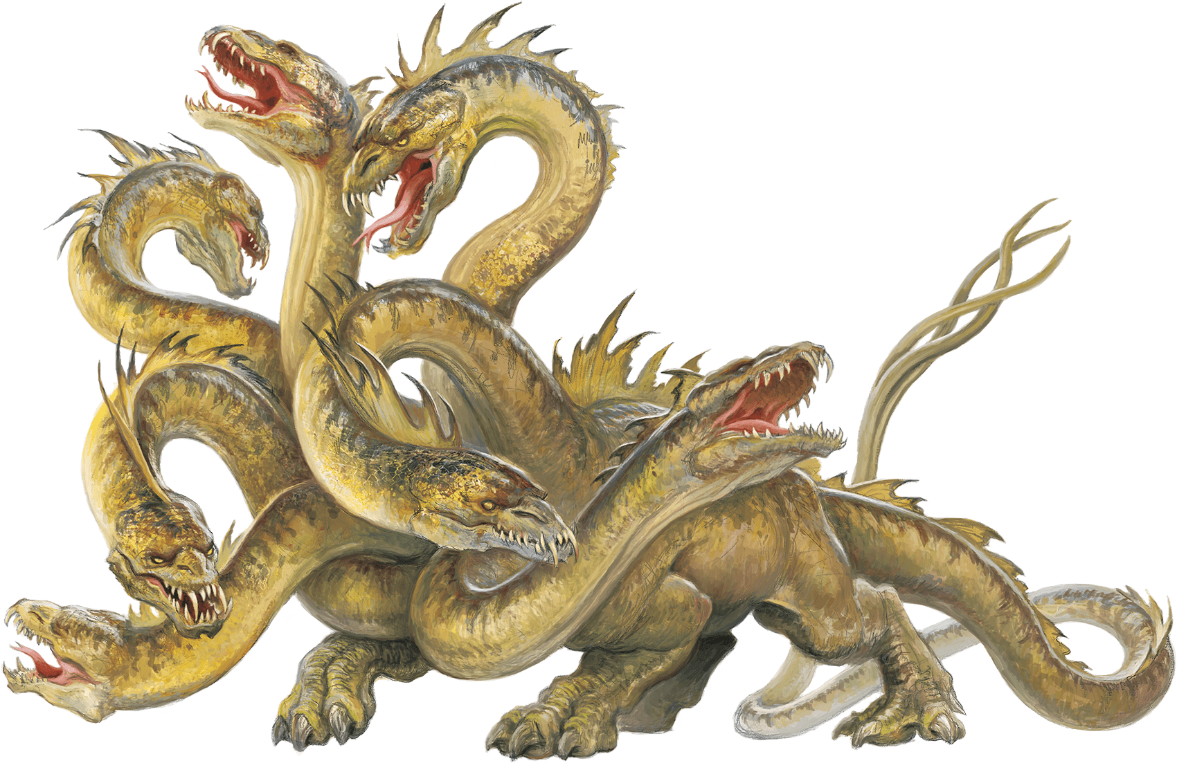 Hydra
